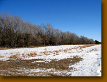 Tour of private land for hunting.